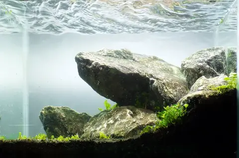 Đá Seiryu Bố Cục